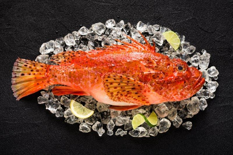 frische Exoten und Krustentiere