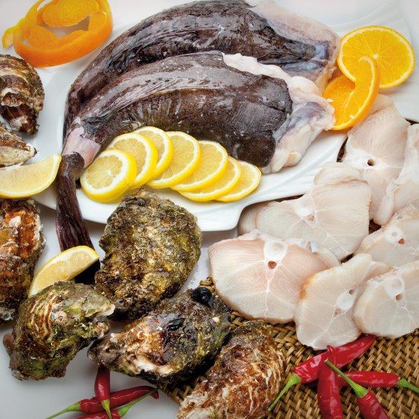 Komplettsortiment von Konsum- und Edelfischen für Groß- und Einzelhandel